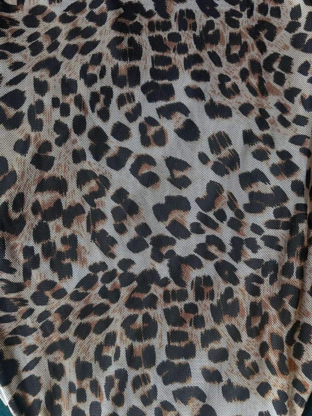Leopard print mesh dress